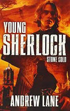 Load image into Gallery viewer, Young Sherlock: stone cold

